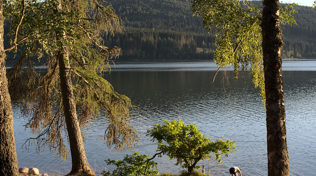 Schluchsee.jpg